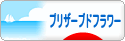 にほんブログ村 花ブログ プリザーブドフラワーへ