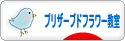 にほんブログ村 花ブログ プリザーブドフラワー教室・販売へ