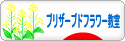 にほんブログ村 花ブログ プリザーブドフラワー教室・販売へ