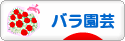 にほんブログ村 花ブログ バラ園芸へ