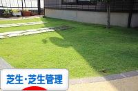 にほんブログ村 花ブログ 芝生・芝生管理へ