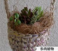 にほんブログ村 花ブログ 多肉植物へ