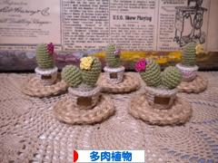 にほんブログ村 花ブログ 多肉植物へ