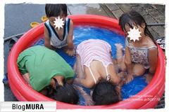 にほんブログ村 花・園芸ブログ 多肉植物へ