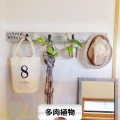 にほんブログ村 花・園芸ブログ 多肉植物へ