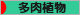 にほんブログ村 花ブログ 多肉植物へ