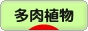 にほんブログ村 花ブログ 多肉植物へ