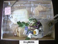 にほんブログ村 花ブログ ベランダガーデンへ