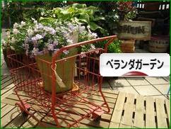 グリーンネックレスで多肉のリース ふる るstyle グリーンネックレスで多肉のリース ふる るstyle