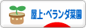 にほんブログ村 花ブログ 屋上・ベランダ菜園へ