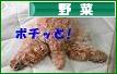 にほんブログ村 花ブログ 野菜のみ（家庭菜園）へ