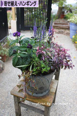 にほんブログ村 花・園芸ブログ 寄せ植え・ハンギングへ