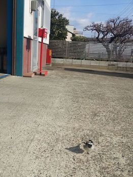 東海移動販売車組合事務所