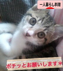 にほんブログ村 料理ブログ 一人暮らし料理へ