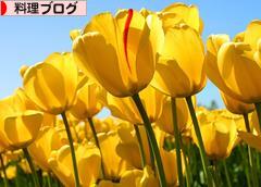 にほんブログ村 料理ブログへ
