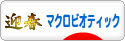 にほんブログ村 料理ブログ マクロビオティックへ