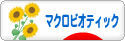 にほんブログ村 料理ブログ マクロビオティックへ
