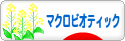 にほんブログ村 料理ブログ マクロビオティックへ