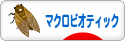 にほんブログ村 料理ブログ マクロビオティックへ