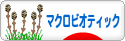 にほんブログ村 料理ブログ マクロビオティックへ