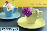 にほんブログ村 料理ブログ マクロビオティックへ