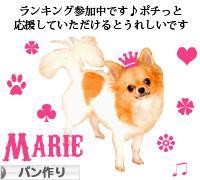 にほんブログ村 料理ブログ パン作りへ