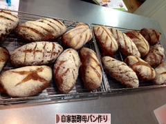 にほんブログ村 料理ブログ 自家製酵母パン作りへ