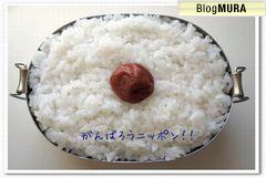 にほんブログ村 料理ブログ ダンナ弁当・パパ弁当へ