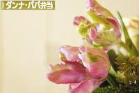 にほんブログ村 料理ブログ ダンナ弁当・パパ弁当へ
