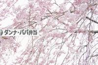 にほんブログ村 料理ブログ ダンナ弁当・パパ弁当へ