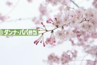 にほんブログ村 料理ブログ ダンナ弁当・パパ弁当へ