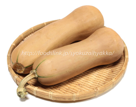 バターナッツ・スカッシュ＜かぼちゃの品種