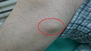 1508649_719849734811294_5118874149191844787_n