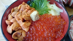 12941192_862181047244828_1100205964_o