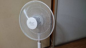 13549121_911809472281985_703940108_o