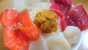 13555728_911760998953499_835148524_o