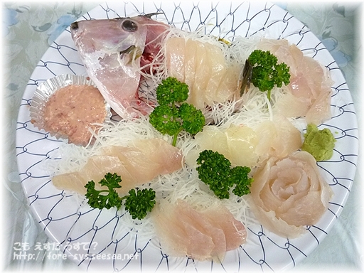 kawahagi14.jpg