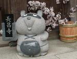20100402_tyoushouji_tanuki
