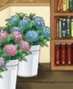 Romantische201006173