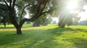 15123893732_47ca60c424_z