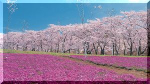 画像の説明