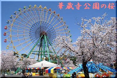 由緒正しき華蔵寺公園♪舟木亭