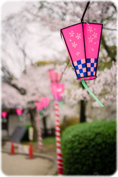 画像の説明