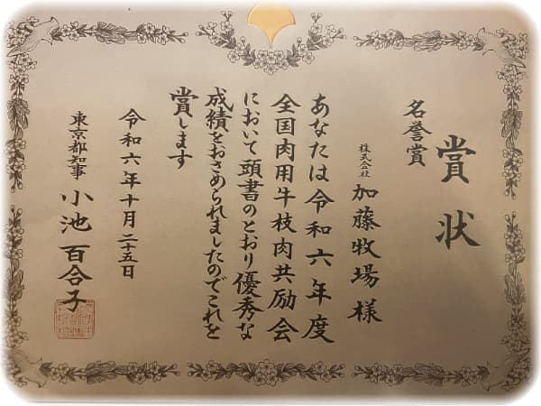 画像の説明