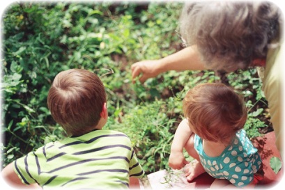 画像の説明 画像の説明