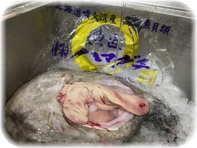 画像の説明