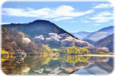 画像の説明