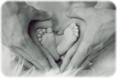 画像の説明 画像の説明