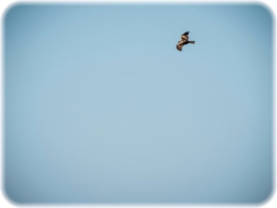 画像の説明 画像の説明