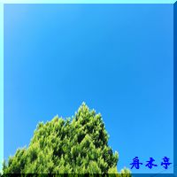 春の青空(^^♪